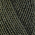 Load image into Gallery viewer, Berroco Ultra Wool Chunky